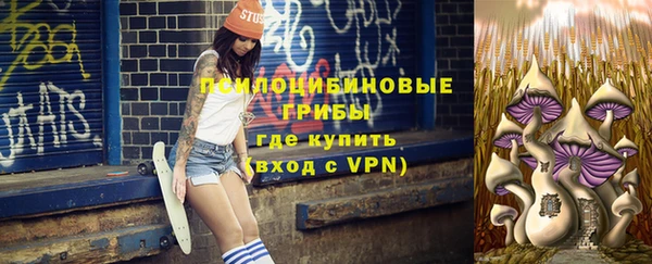 гидра Медвежьегорск