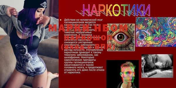 mix Абаза