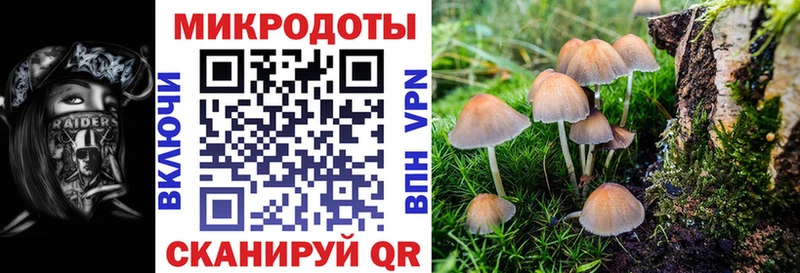 Псилоцибиновые грибы Magic Shrooms  Челябинск 